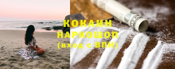 кокс Няндома