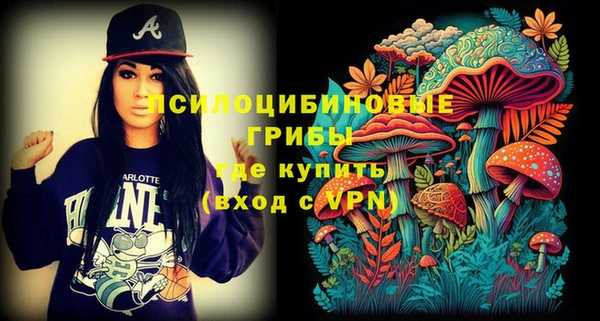 кокс Няндома